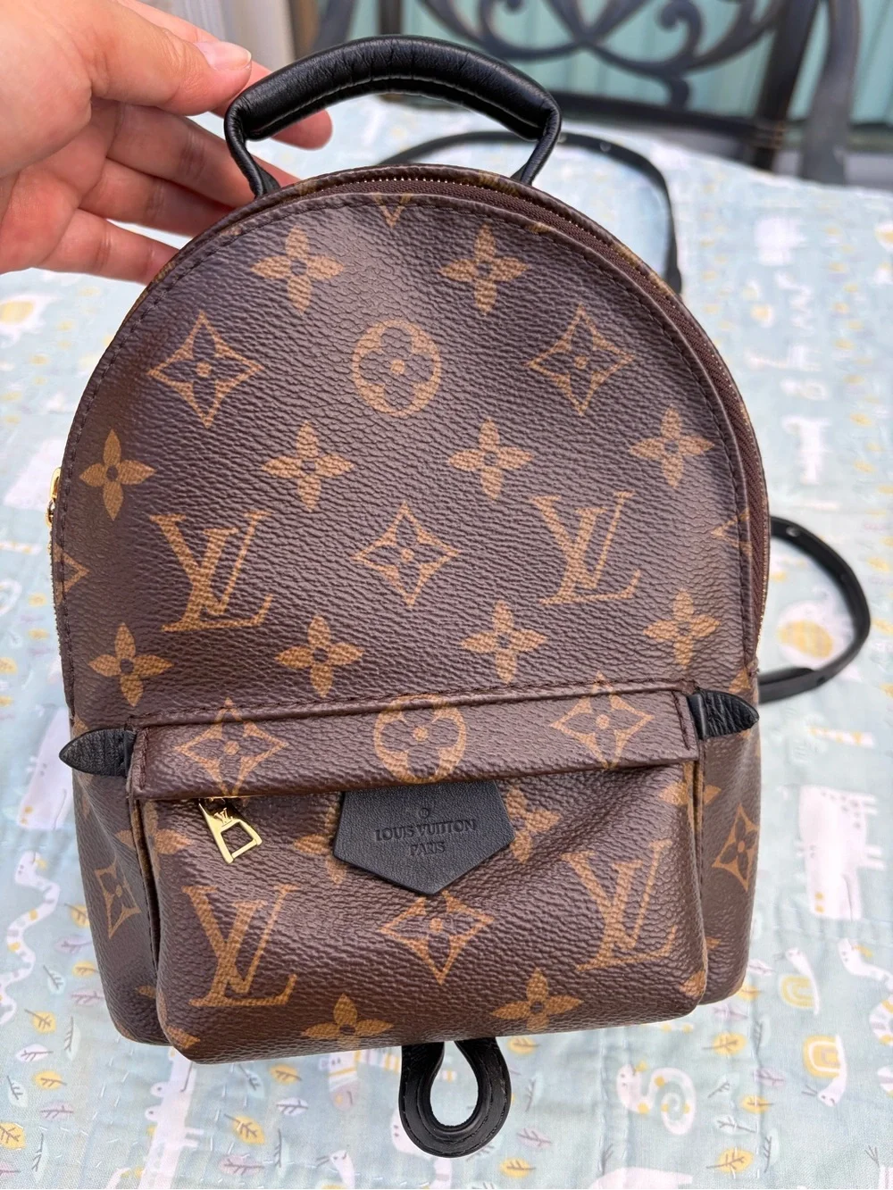 Louis Vuitton Palm Springs Mini (PRICE FIRM)